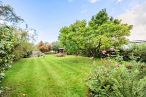 Photo 13- click for photo gallery